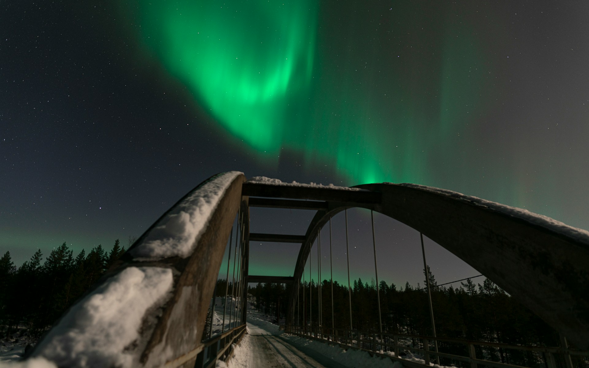 Nordlichter-Lappland